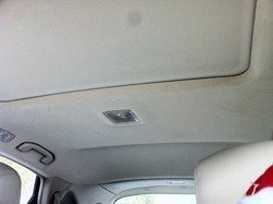 IMG_1154.jpg