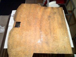 IMG_1175.jpg