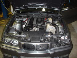 DSC00246.jpg