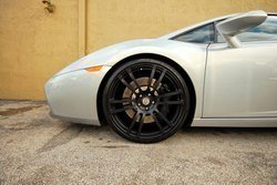 gallardo_31.jpg