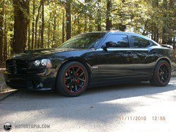CIMG0819_1.jpg