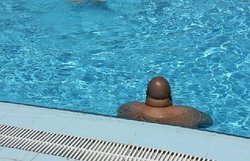 D-Head.jpg