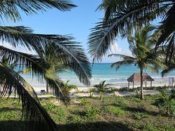 IMG_0218_zps66c79a40.jpg