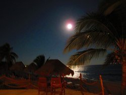 IMG_0162_zps243a5f3d.jpg