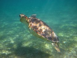 IMG_0671_zps5ae954bd.jpg