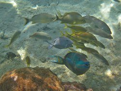 IMG_0621_zpsa5f893df.jpg