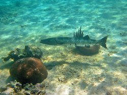IMG_0696_zps98c82832.jpg