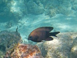 IMG_0613_zps9ffa716e.jpg