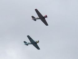 DSCN1539.jpg