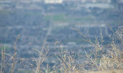 DSCN1961.jpg