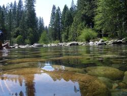 DSCN3729.jpg