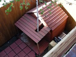 DSCN4337.jpg