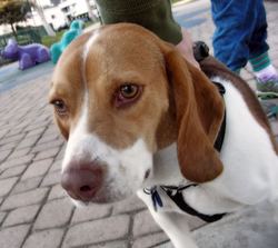 DSCN4986.jpg