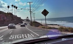 DSCN5218.jpg