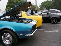 DSCN5455.jpg