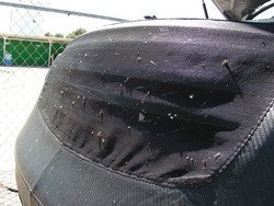 DSCN0200_zpstk0k3s6e.jpg