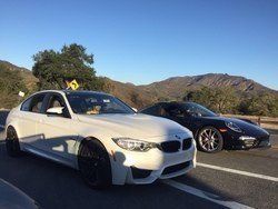 d3ee1a9730583fb1eaaff7358ef78ed0.jpg