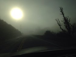 39a495695e4856fb7ab7b6d5cbb78ff0.jpg