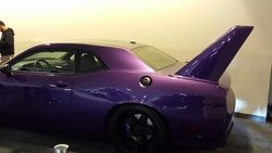 20150412_160429_zpsdr0qh9wz.jpg