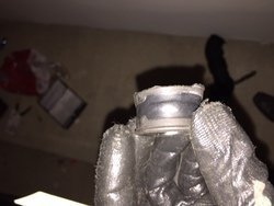 19103884.JPG