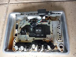 P1070300_zps2bedd0c3.jpg