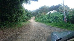 DSC_0004.jpg