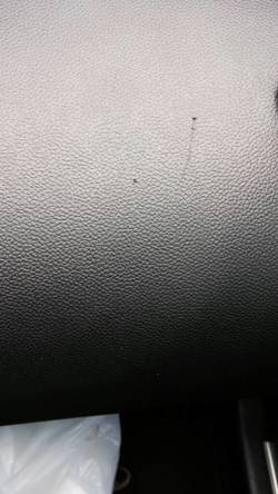 4b3418a5c78d1a0ba41ac9b953d05ed8.jpg