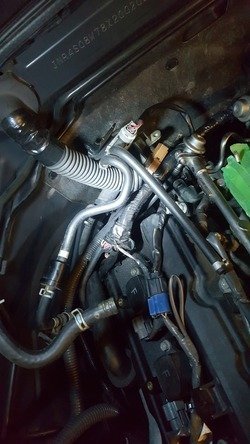 20160520_204628_zpseyao2xy7.jpg