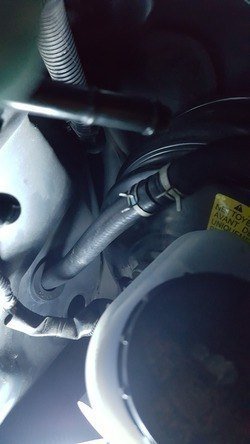 20160522_171328_zps5xqqntpw.jpg
