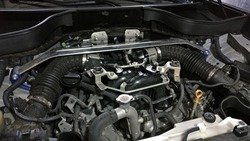 IMG_20160806_174810.jpg