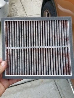 20160917_174532.jpg