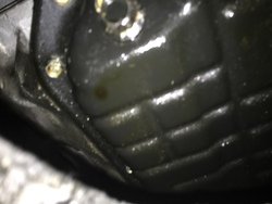 c3b3844e0cc4a35e6c0c102676fd54d2.jpg