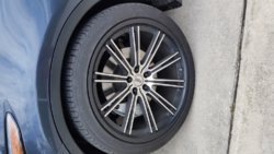 20160607_122009.jpg