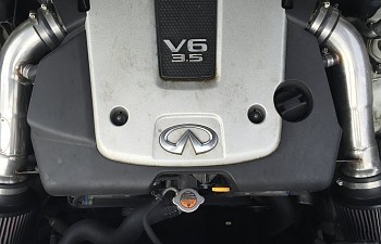 IMG_7900.jpg