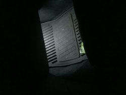 image.jpeg