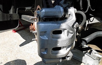 SDC10461.JPG