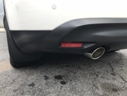 Rear Bumper Lft Side_1 Month Aft BacktoBlack.jpg