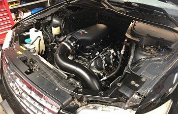 LSX FX