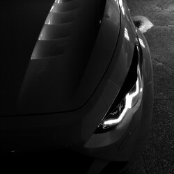 Dragon-Eyes1.jpg