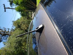 20220309_133016.jpg