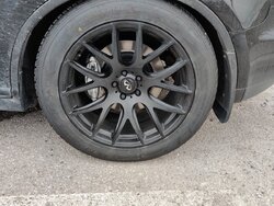 IMG_20220411_192519.jpg