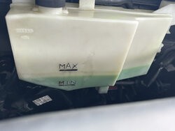 IMG_3786.JPG