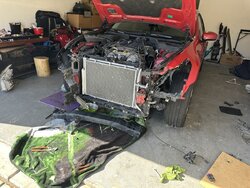 IMG_9694.jpeg