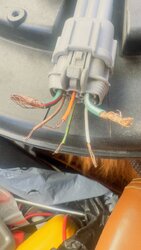 IMG_5449.jpeg