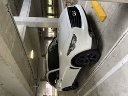 IMG_2637.jpeg