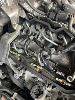 IMG_4733.jpeg