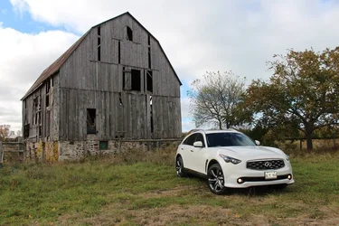 FX by old barn.webp